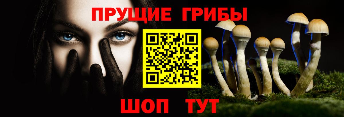 Псилоцибиновые грибы MAGIC MUSHROOMS  Вход с VPN  Белгород 